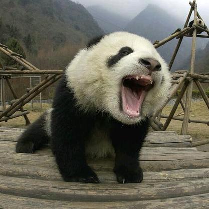 卢平安