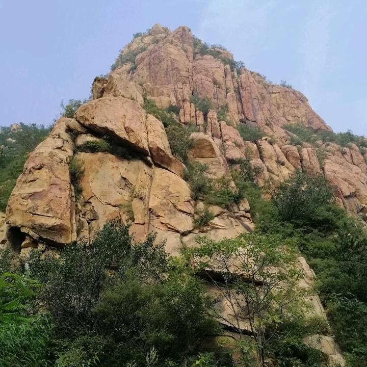 小伟