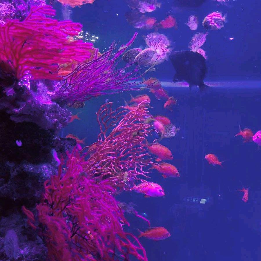 拒绝私聊，拒绝合拍，，拒绝连赞。