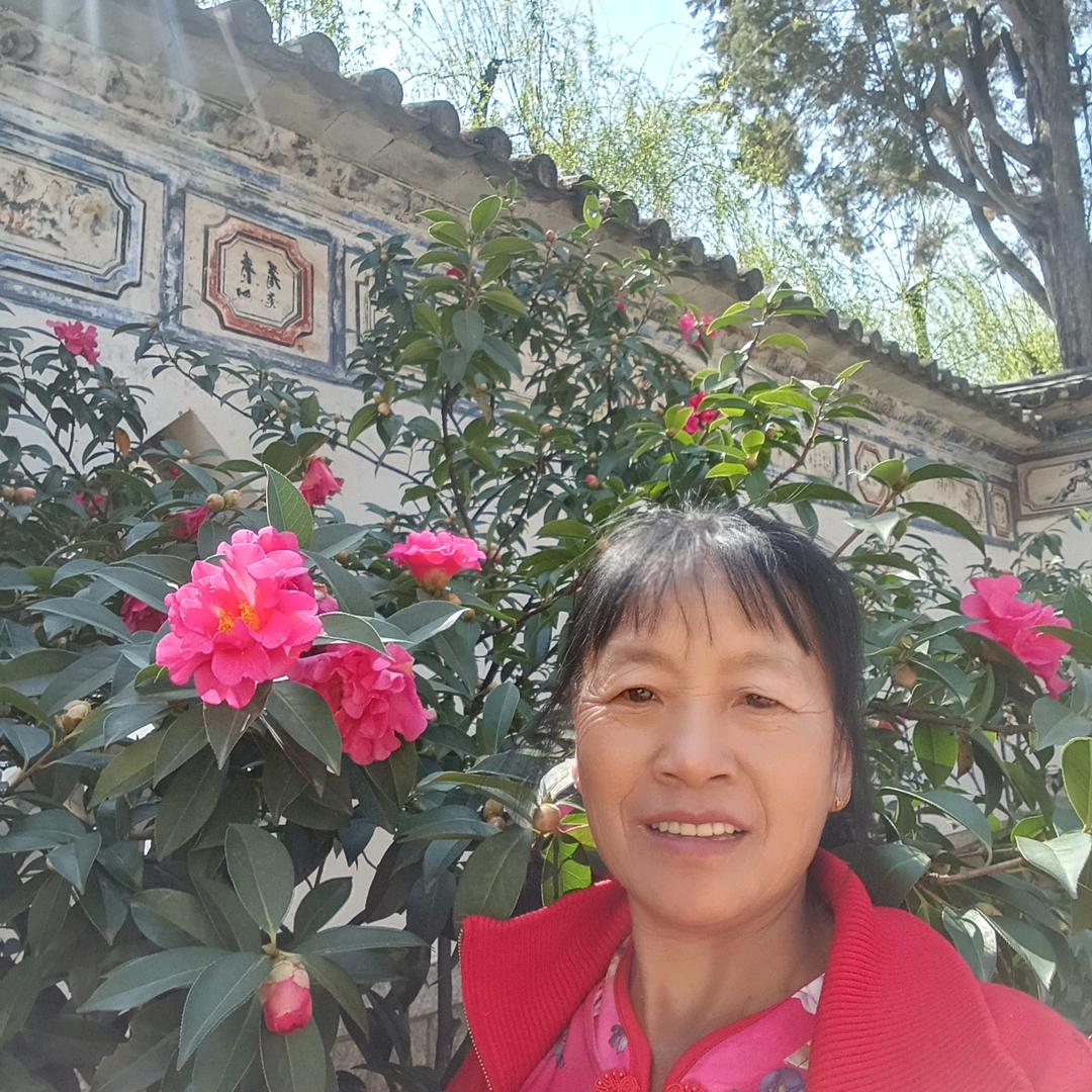 玩抖音最开心了