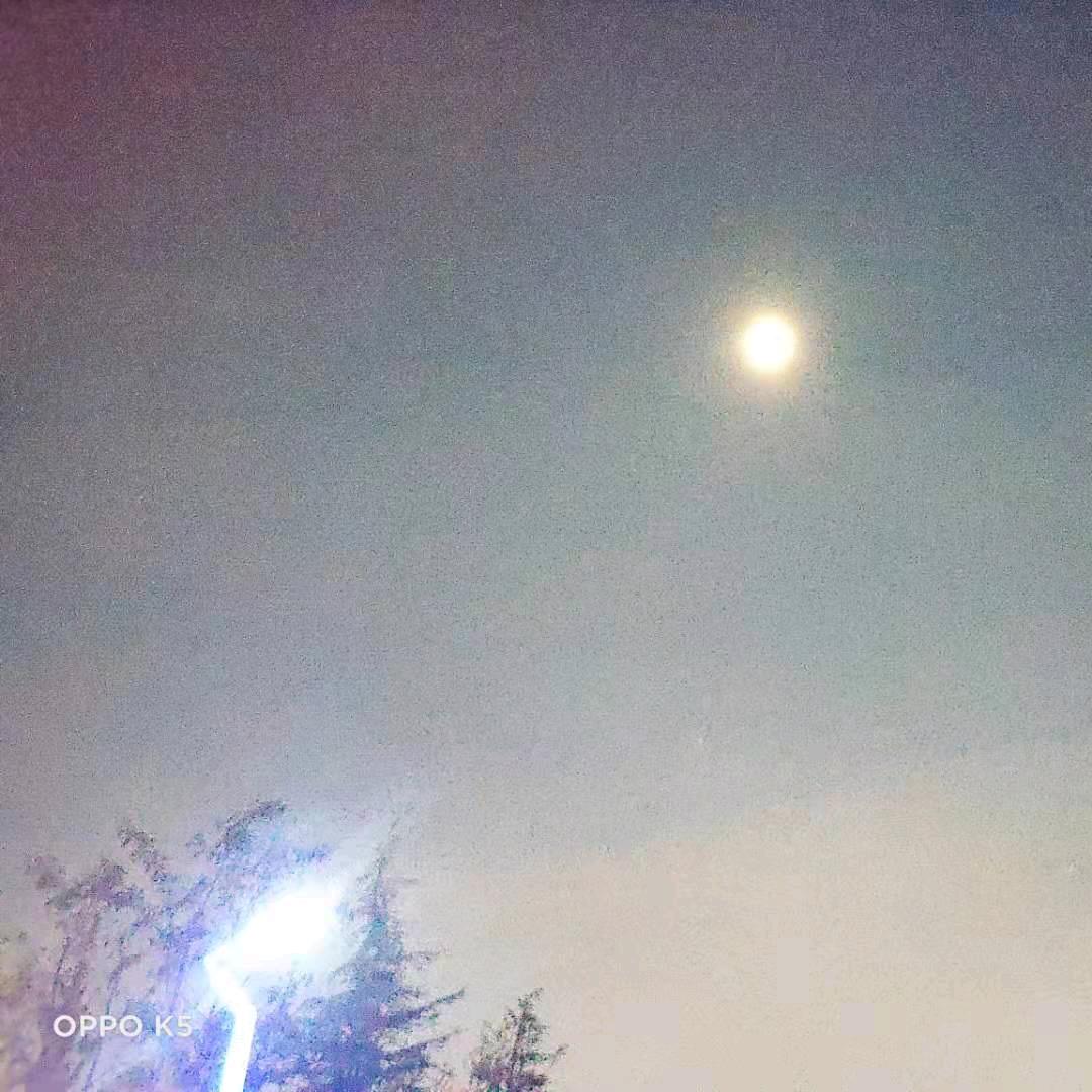 心李有你