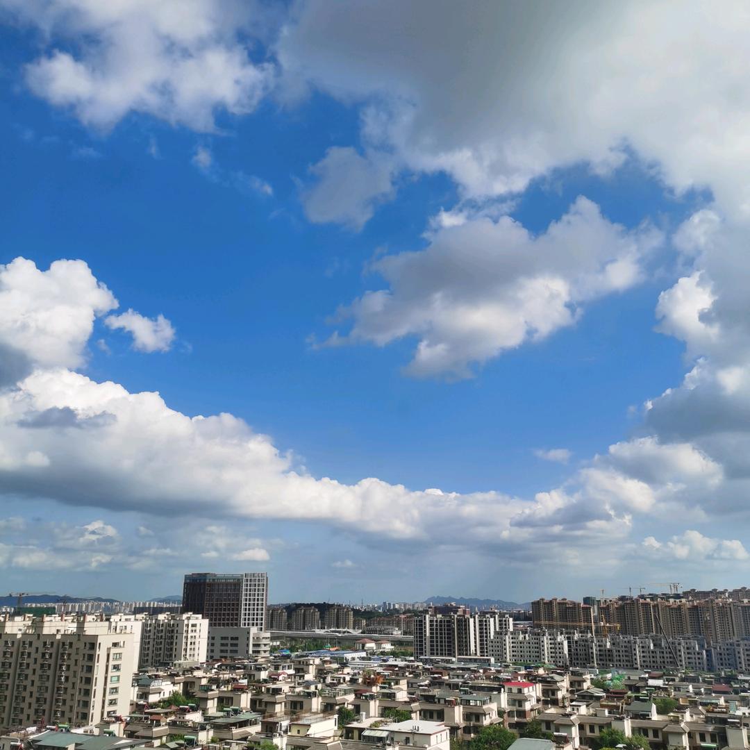 蓝莓果绛