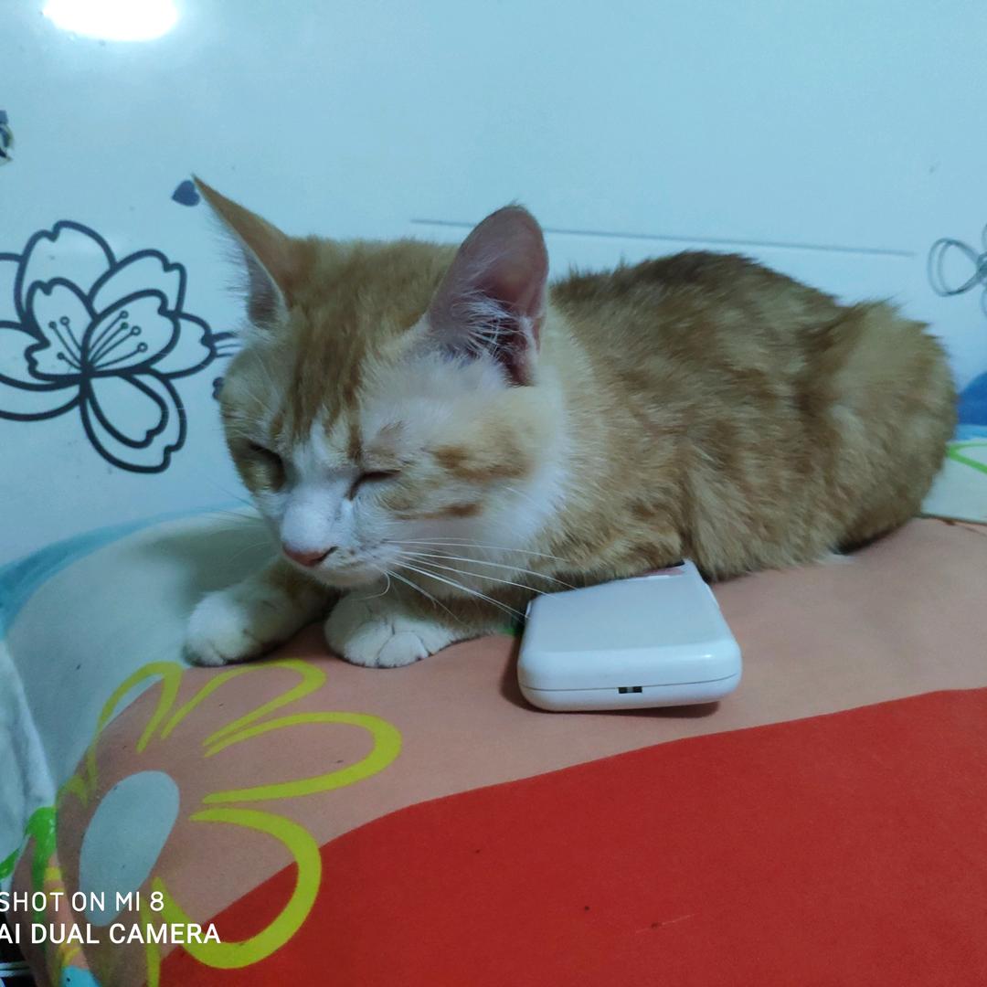 我来过了