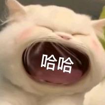 动᭄ꦿ_感ོꦿ࿐街ོ舞ꦿ℘゜এ