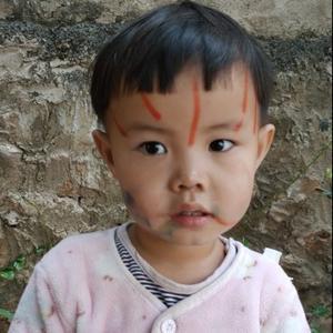 不讲李