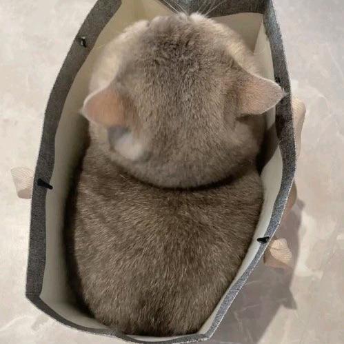 爱学习爱劳动爱生活爱运动