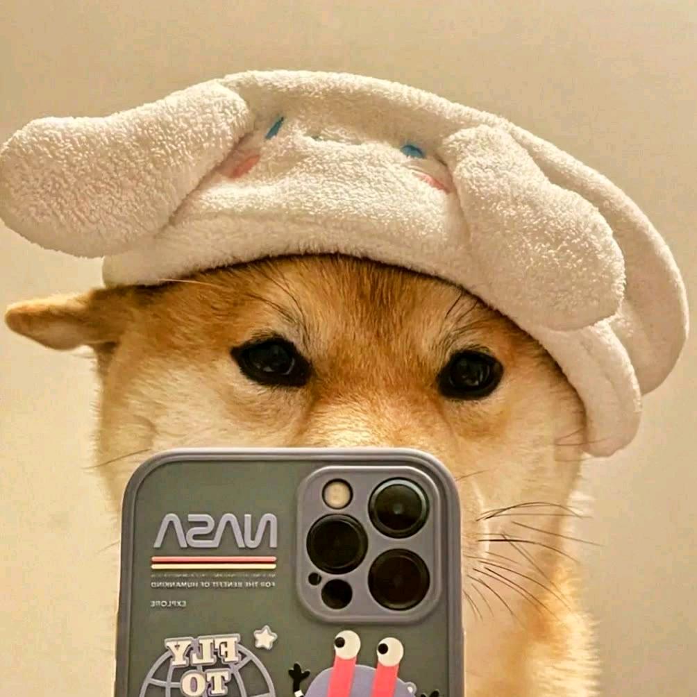 阿布