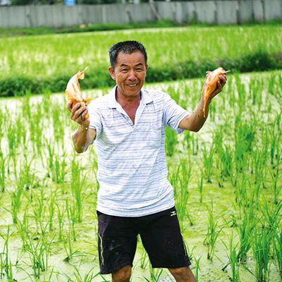 孔蒲中家庭农场