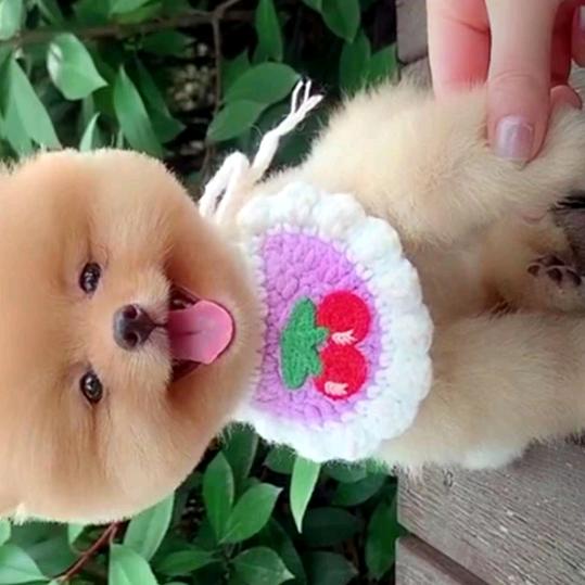 随缘⊙ω⊙