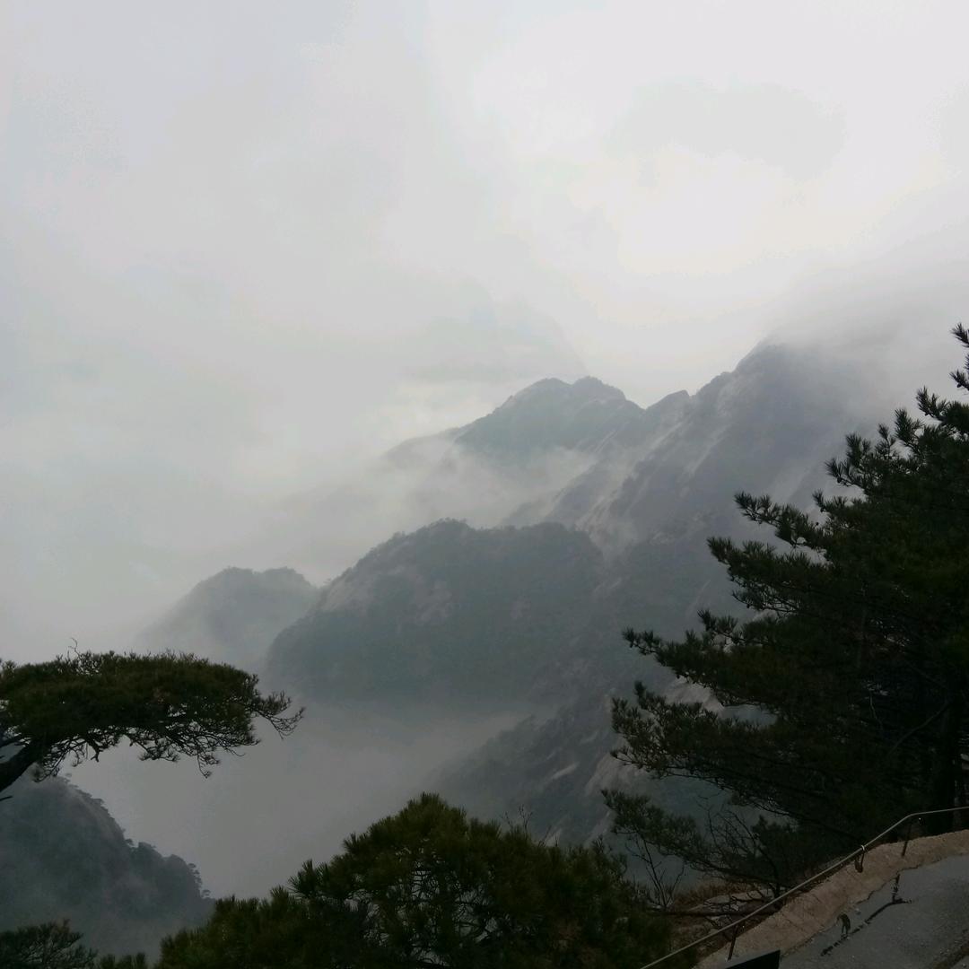 波波