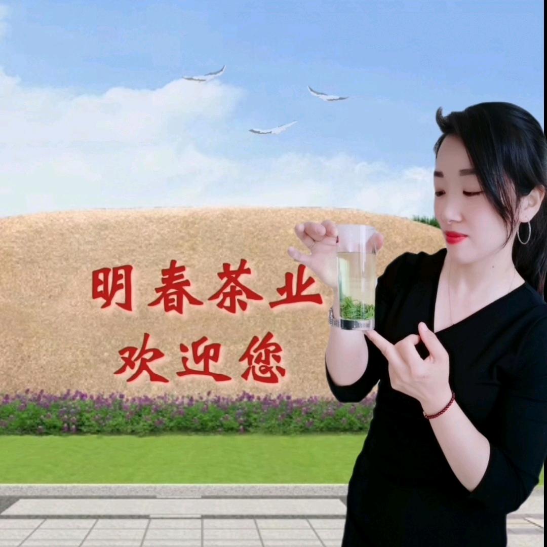 明春茶爱玲姐（首播筹备中）