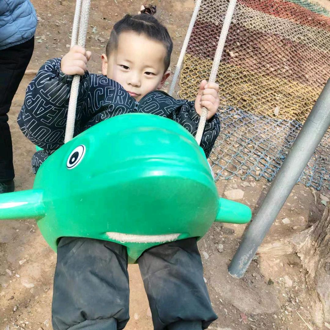 从头开始