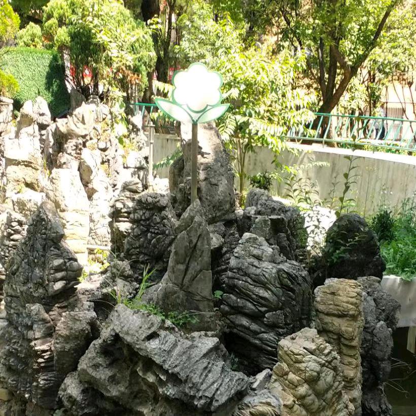 农村田家丫头。