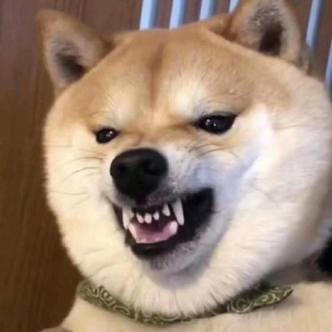 S̶ɪ̶ʟ̶ᴇ̶ɴ̶ᴛ̶