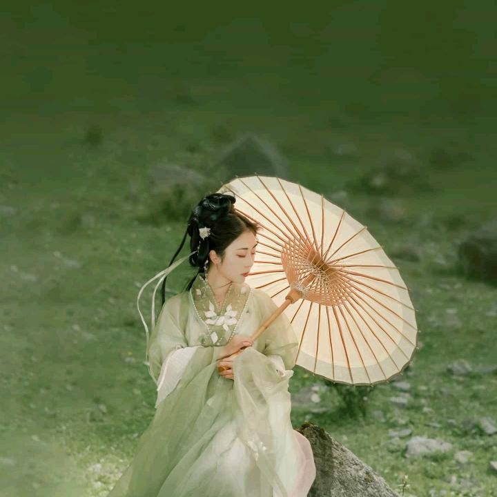 玫瑰花