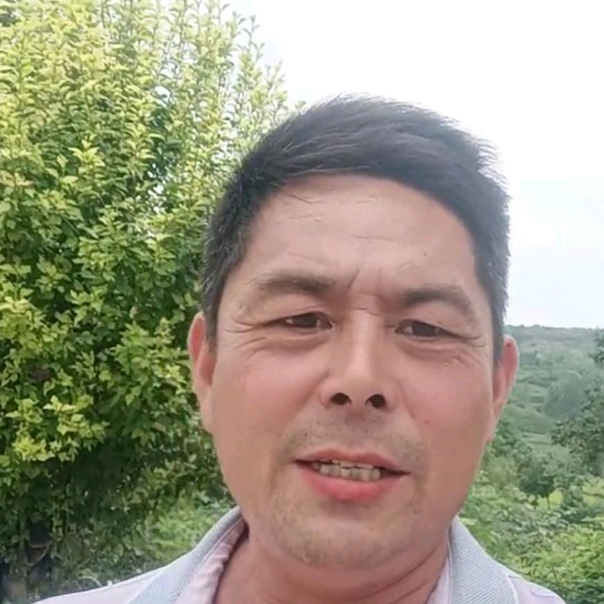 荒漠飞龙