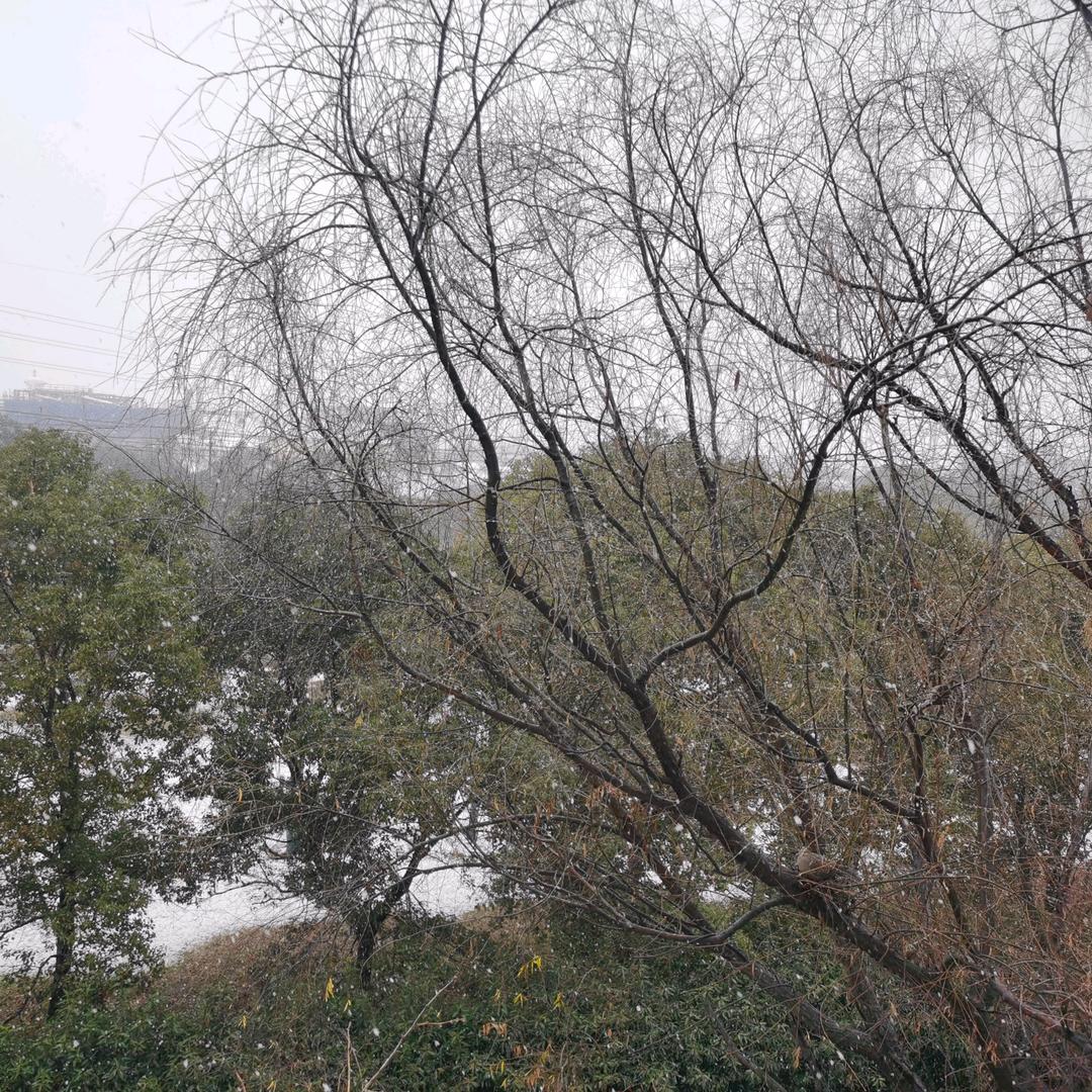 平淡悠然