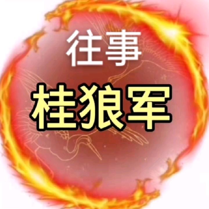 桂狼军  往事
