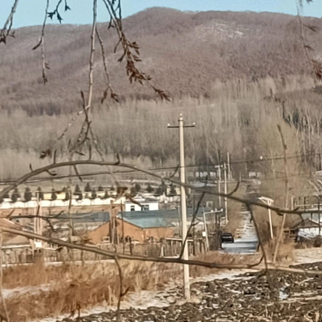 时空错嫁的惜沉头像