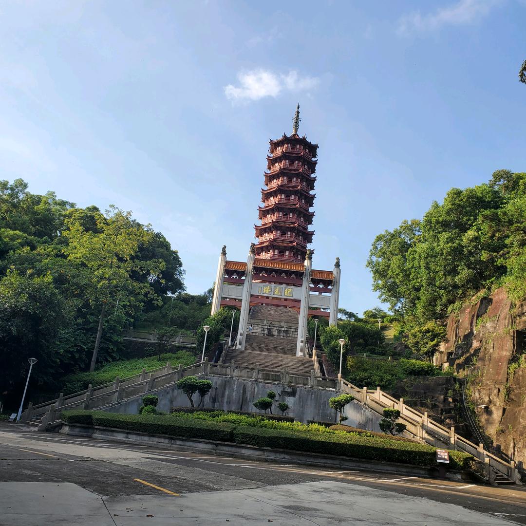 误闯人间