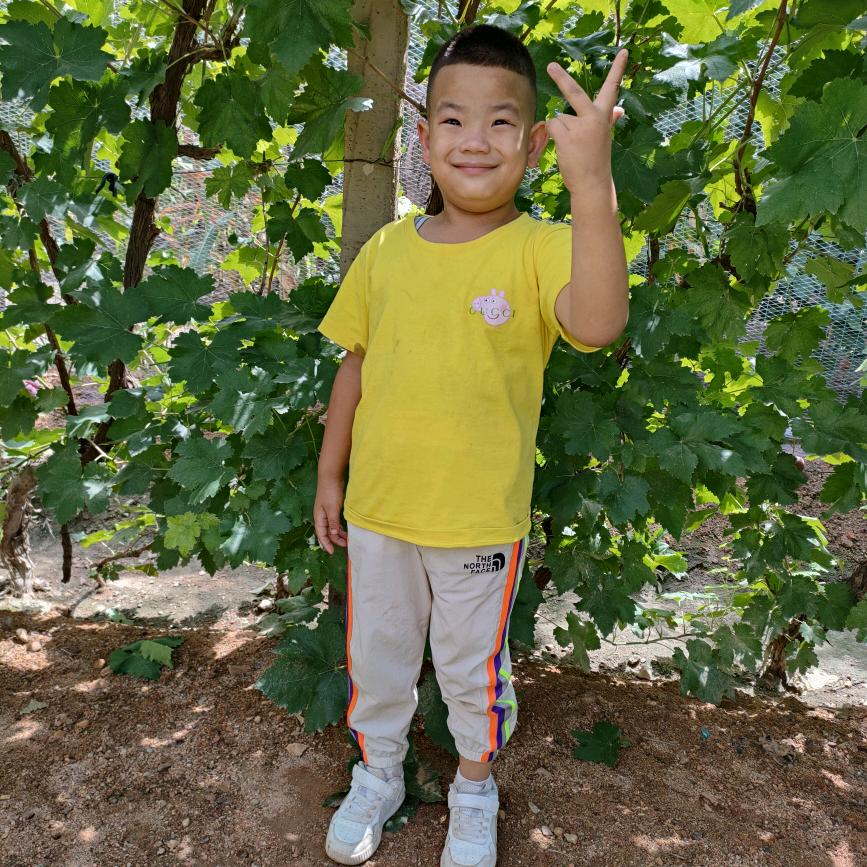 墨痕未染泪痕一笺