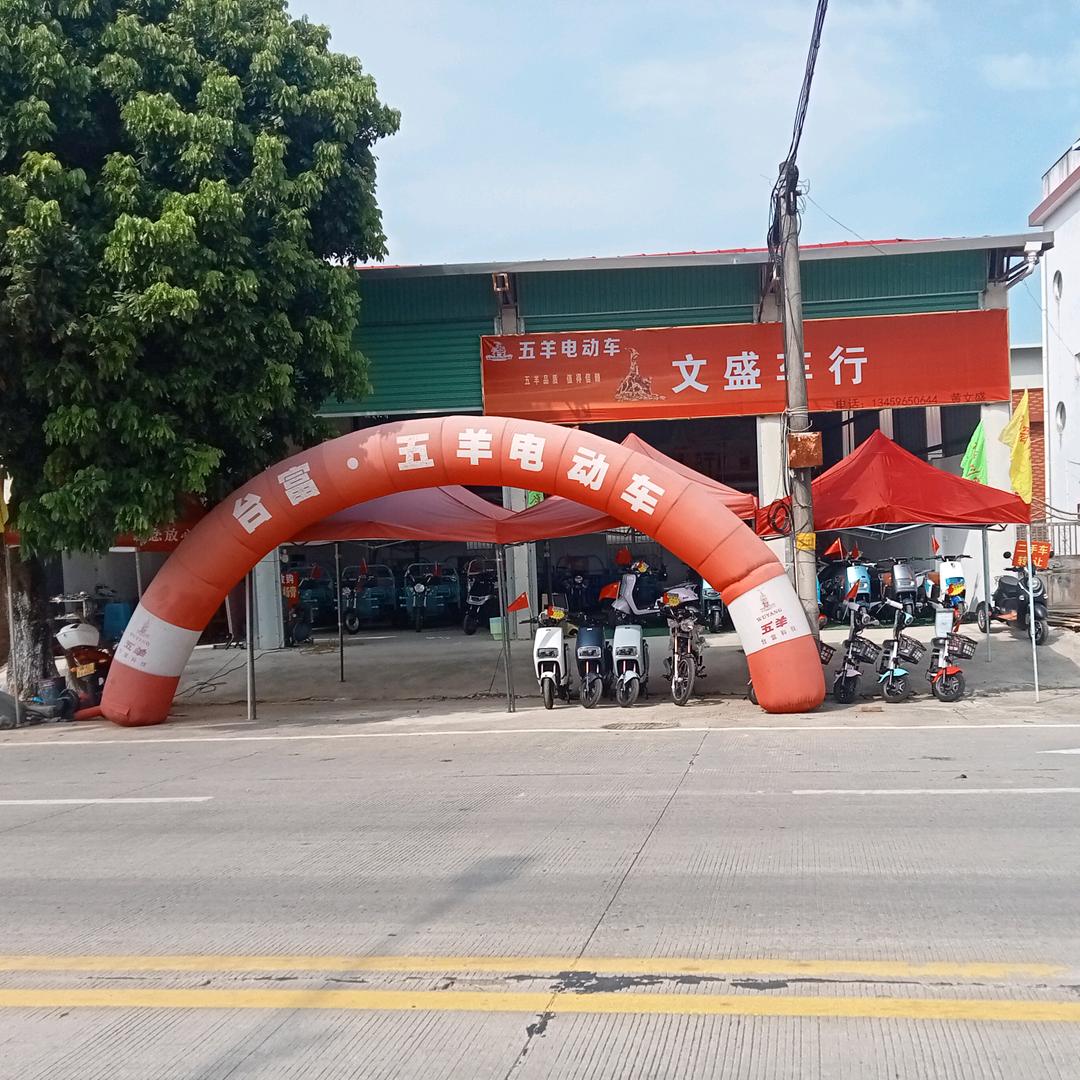 文盛新能源四轮电动车