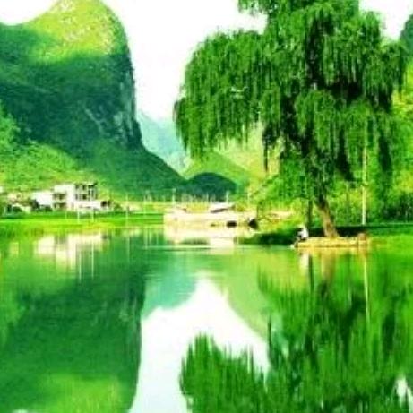 揽山晓月