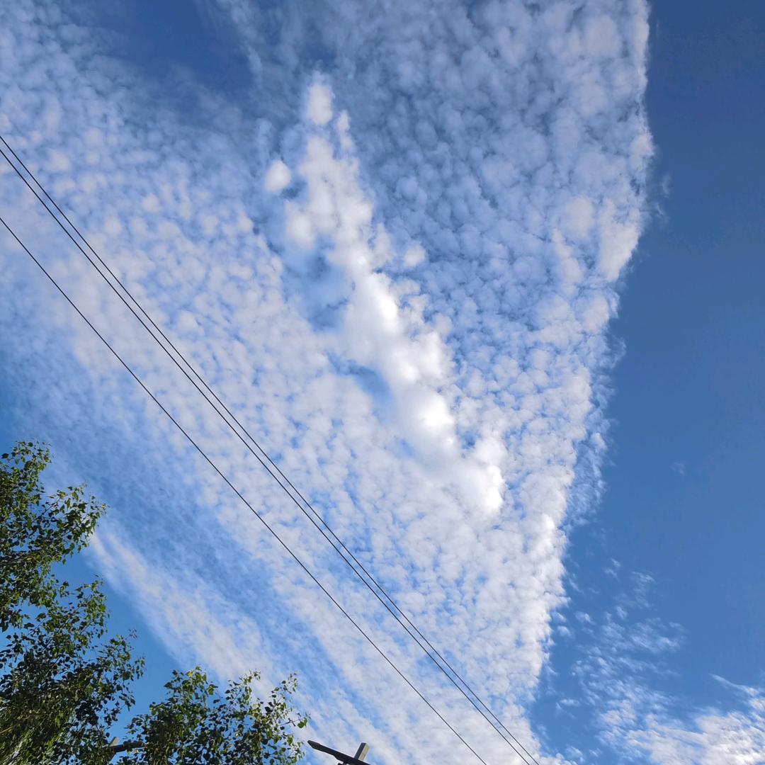 （幸福快乐每一天^0^）