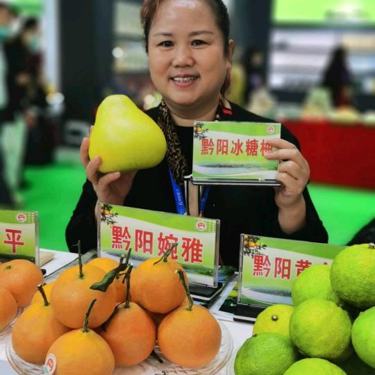 洪江市金穗商贸有限公司