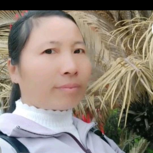 情不自禁又把你想起