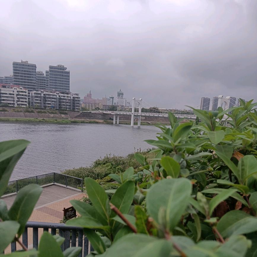 钱塘江畔