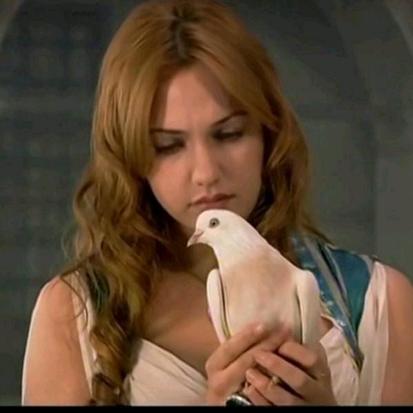 霍城县宁创家电销售店