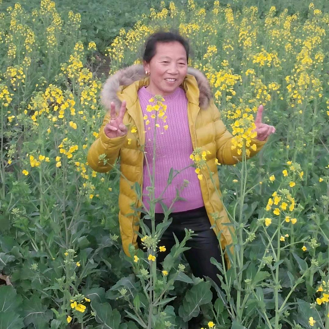 老彭