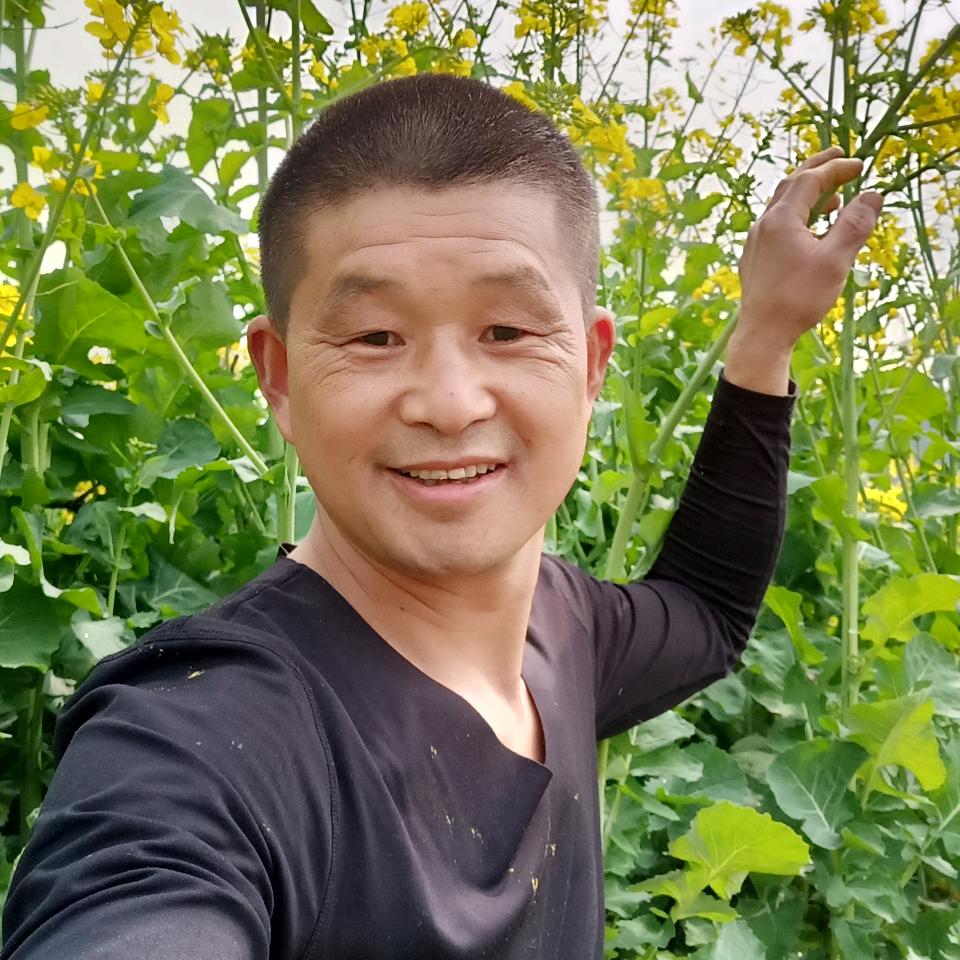 知足常乐，笨笨的我
