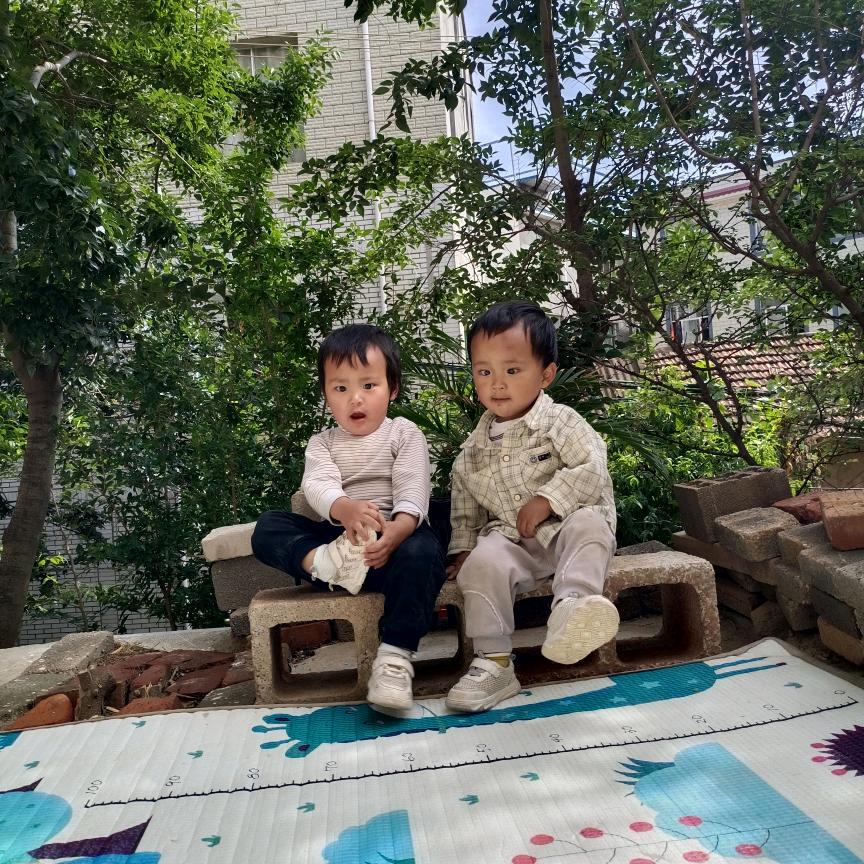 龙凤胎的生活号