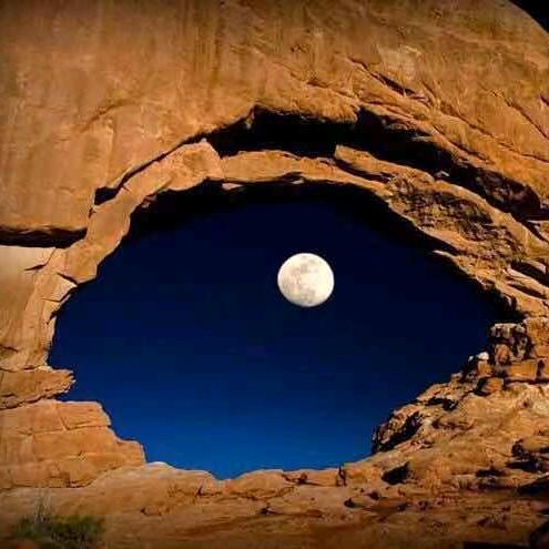 【逐木轩】 默君