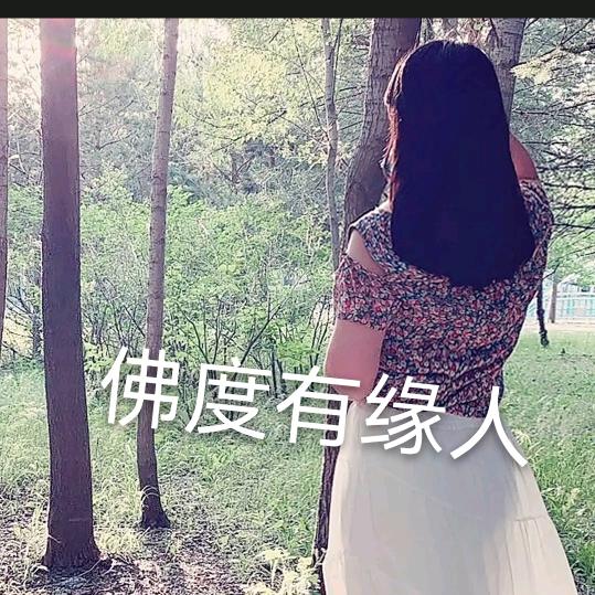 看雨//////