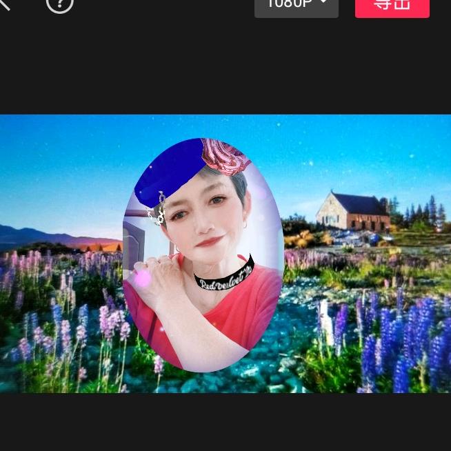 红梅。