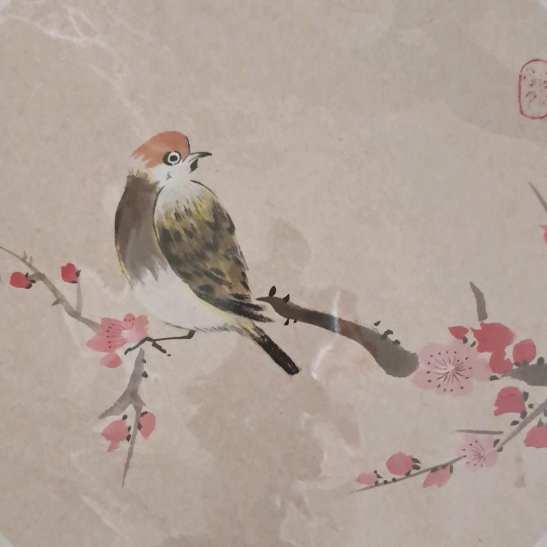坐地日行八万里wws
