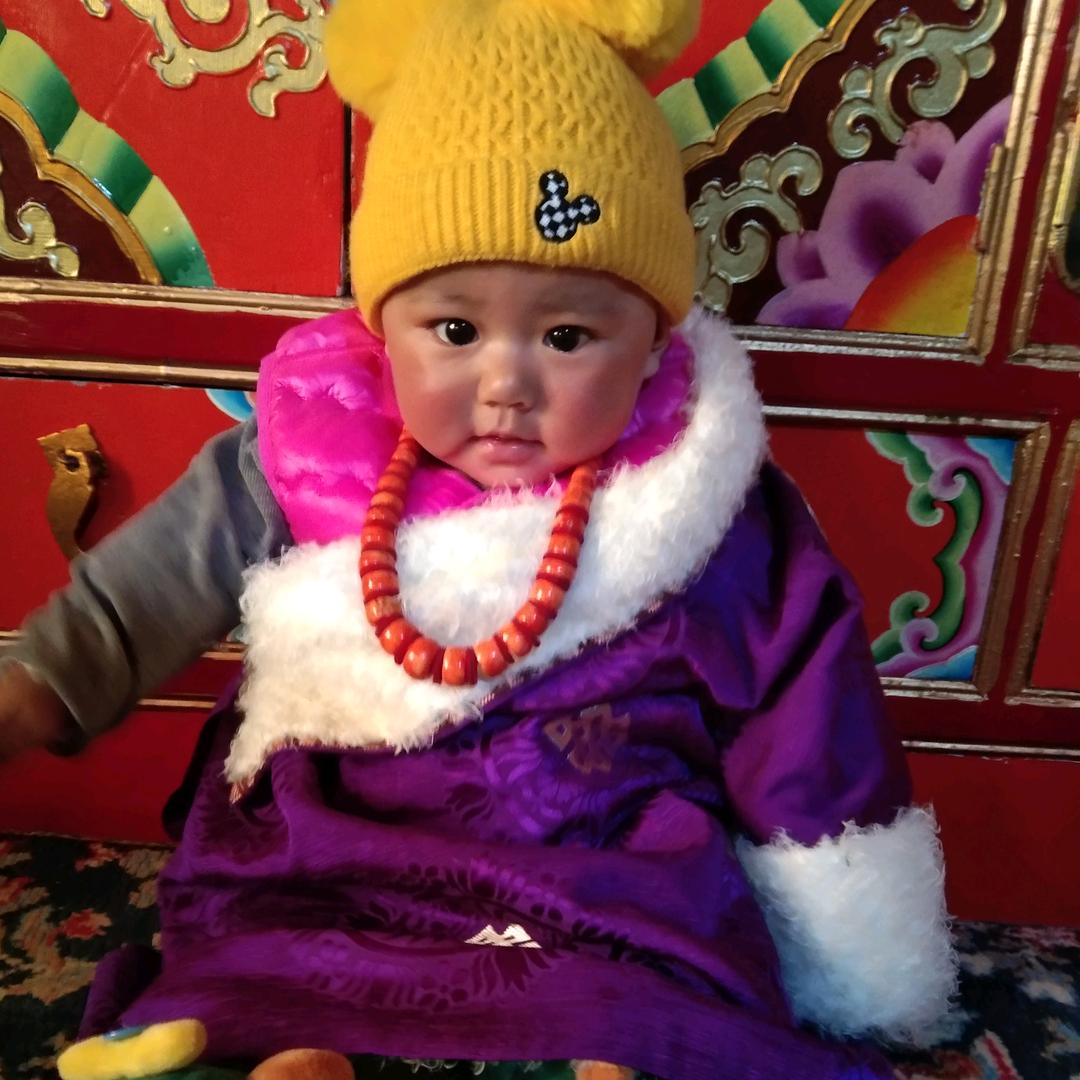 手机用户77402771044