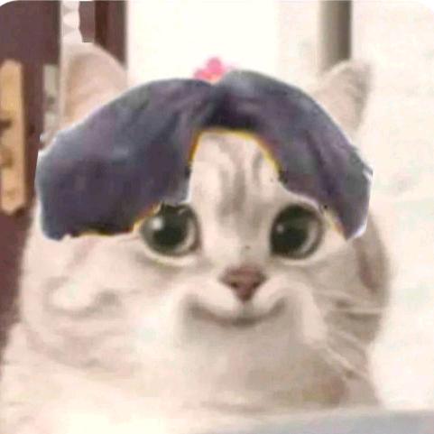 不鹿白不鹿