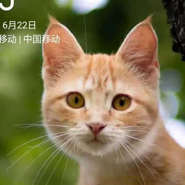 啊兴