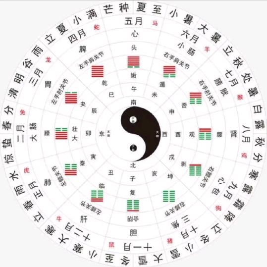 喆喆择优