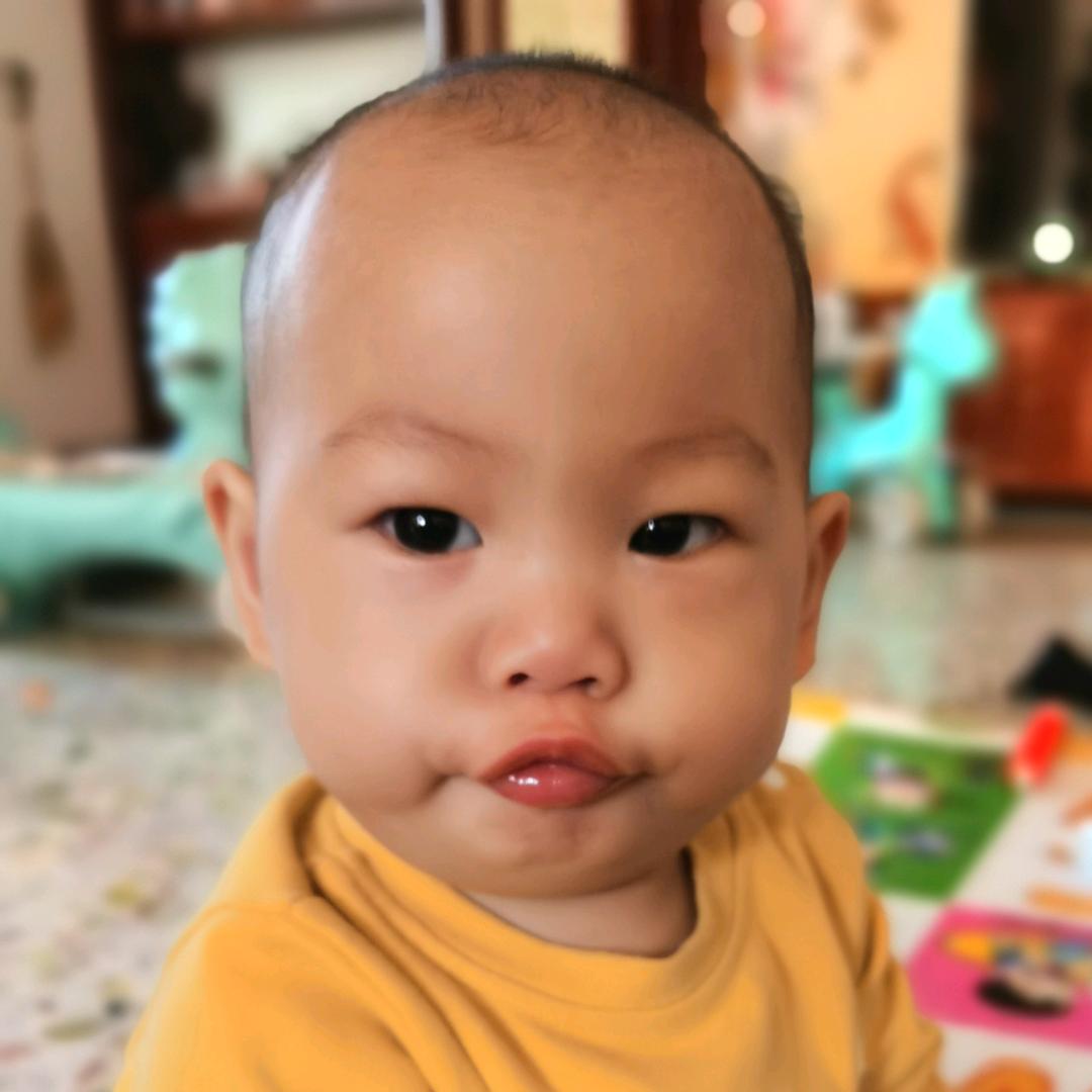 金鸿源意