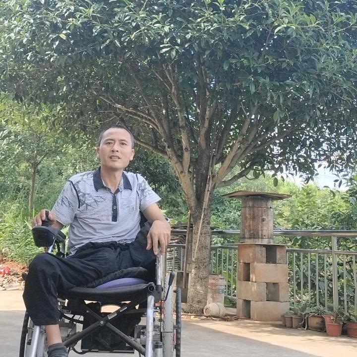 轮椅高哥停播学习中