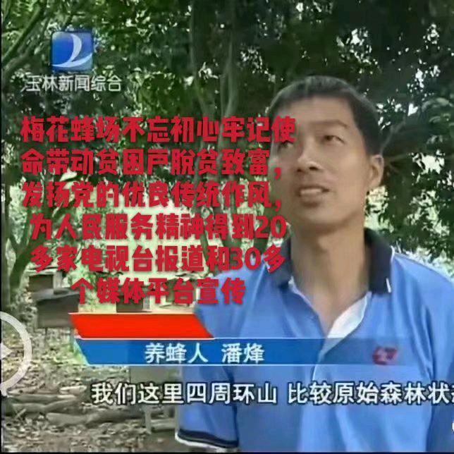 容县灵山镇梅花蜂场