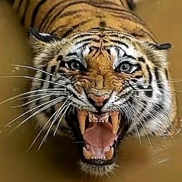 水电安装 (☆^ー^☆)