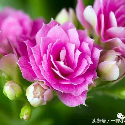 宁静致远