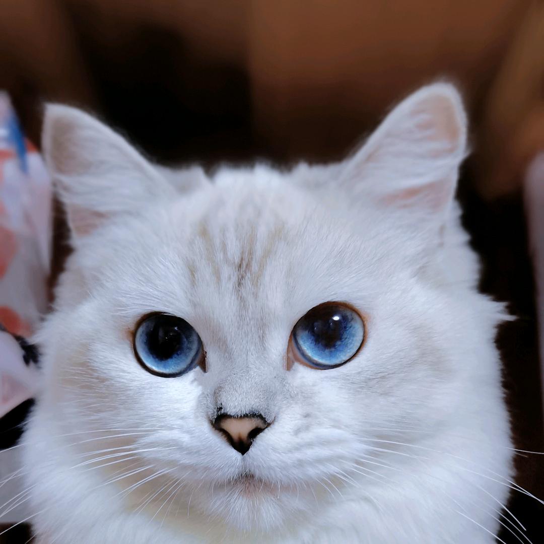 房航