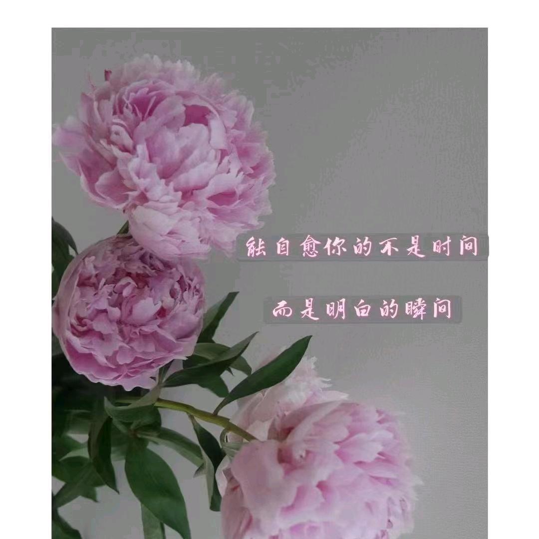 娇娇